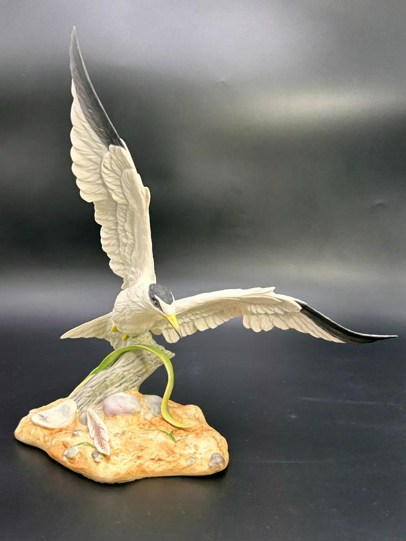 Limited Edition "Least Tern" 40435 Porcelain Bird by BOEHM (1 of 13)