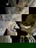 item-203377426=12