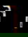 item-204970384=2