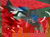 item-205970620=6