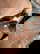 item-206472605=12