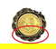 item-207515155=4