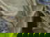item-207516740=8