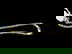item-207541167=7