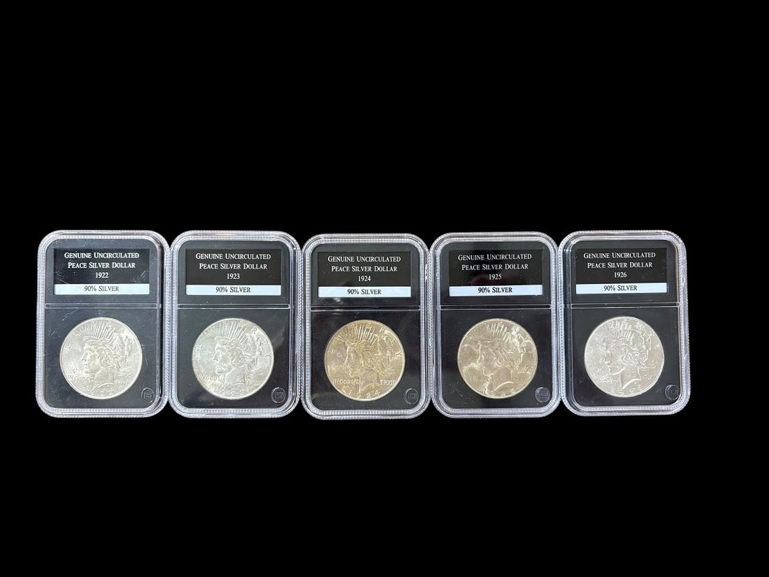 Estate Lot of 20 Morgan Silver Dollars & 5 Peace Silver Dollars, Uncirculated - 10