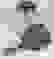 item-30526221=2