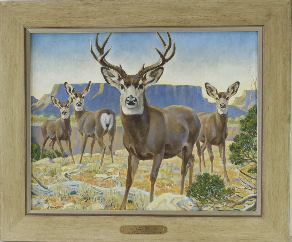 Paul Bransom, 1885-1979: Paul Bransom, 1885-1979, oil on canvas board, "Mule Deer", four mule deer on landscape, image 15" x 19", in larger whitewash pine frame, very good condition. signed lower left and with plaque. Frame h