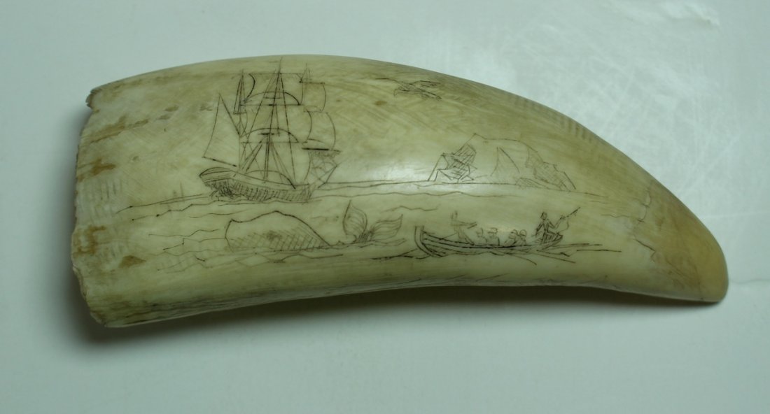 Genuine Whale Tooth with Scrimshaw: Genuine whale tooth with scrimshaw etched scene of whaling ship, whale and chase boat with harpooners. C. 1830-40, 4.5", good condition. Tiny repair on bottom of tooth.