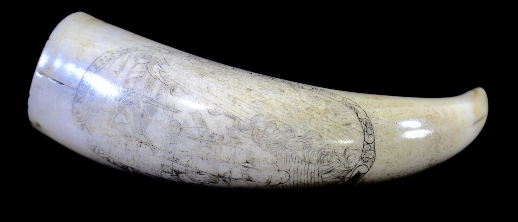 American Scrimshaw Whale's Tooth: American scrimshaw whale's tooth. Depicts battle between the USS Constitution and the sinking of the British Ship HMS Java, December 29, 1812. En verso is portrait of Captain William Bainbridge of the