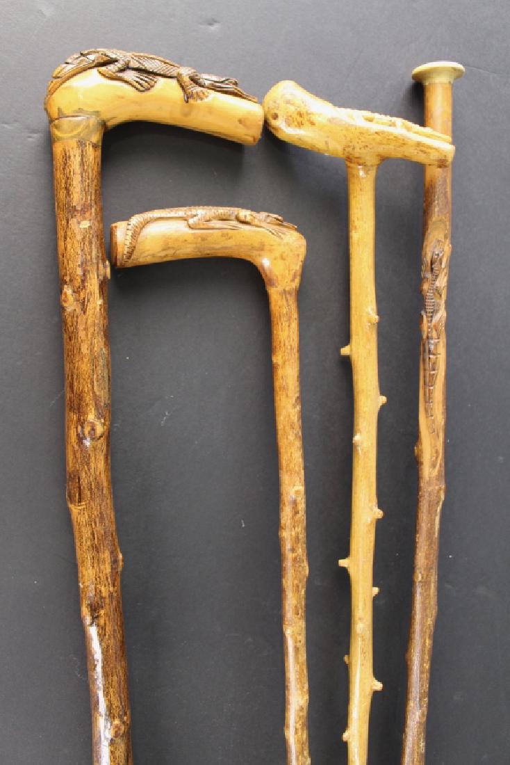 Group of Four Orangewood Carved Canes: Group of four "sucker" orangewood alligator carved canes/walking sticks, c. 1885-1915. Primarily individually carved in Jacksonville and sold in department stores. 3 of these have alligator carved han