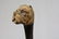 Antique Walking Stick with Bulldog Handle - 3