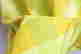 item-58931219=3