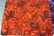 Lot of Vintage Hawaiian 1930/40's Cotton Fabric 36" - 4