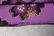 Lot of Vintage Hawaiian 1930/40's Cotton Fabric 36" - 8