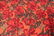 Lot of Vintage Hawaiian 1930/40's Cotton Fabric 36" - 9