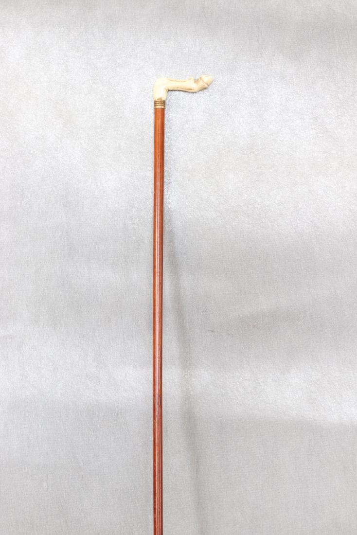 Carved Hoof Handle Cane: Possible Bone