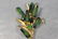 Vintage 1960's Floral Brooch & Earring Set Signed ART© - 2