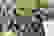 item-75752769=6