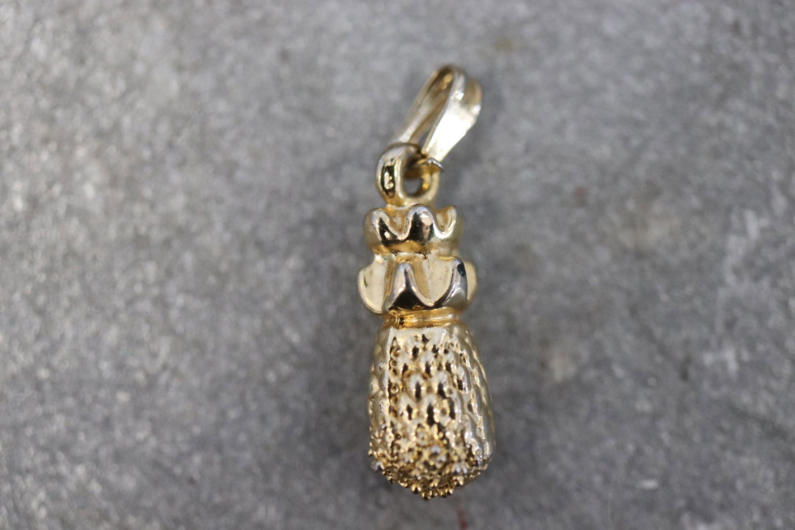 10K Gold Necklace or Charm Pendant (1 of 3)