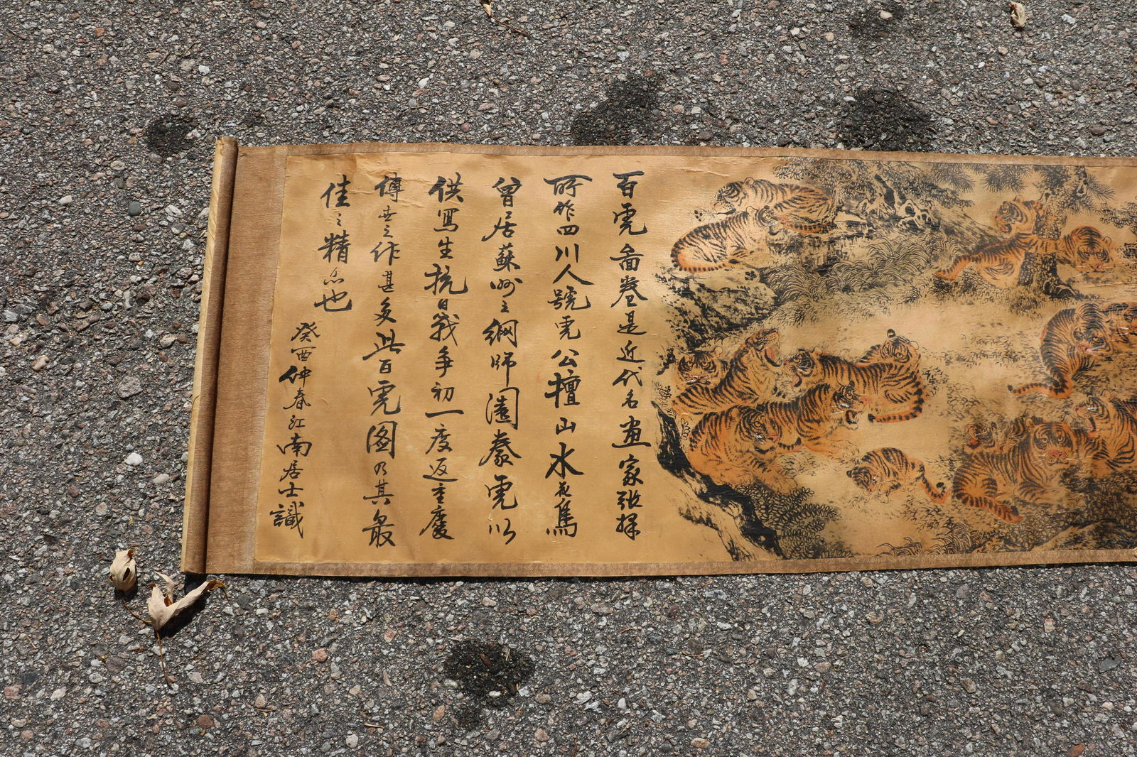 Asian Tiger Scroll, Signed, 13.5 feet (1 of 12)