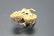 Vintage Floral Brooch & Earring set, Enamel & Crystal - 7