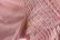 Vintage Henry Rosenfeld Cotton Pink Dress New With - 4