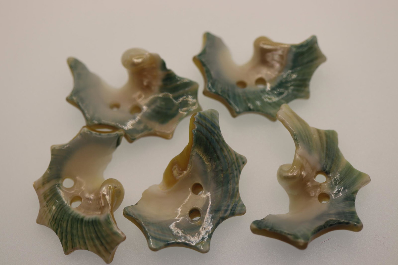 Fabulous Seashell Buttons set of 5: great design blue inside edge, 2 x 1 inch