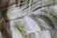 item-102115909=14
