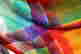 item-119517272=6