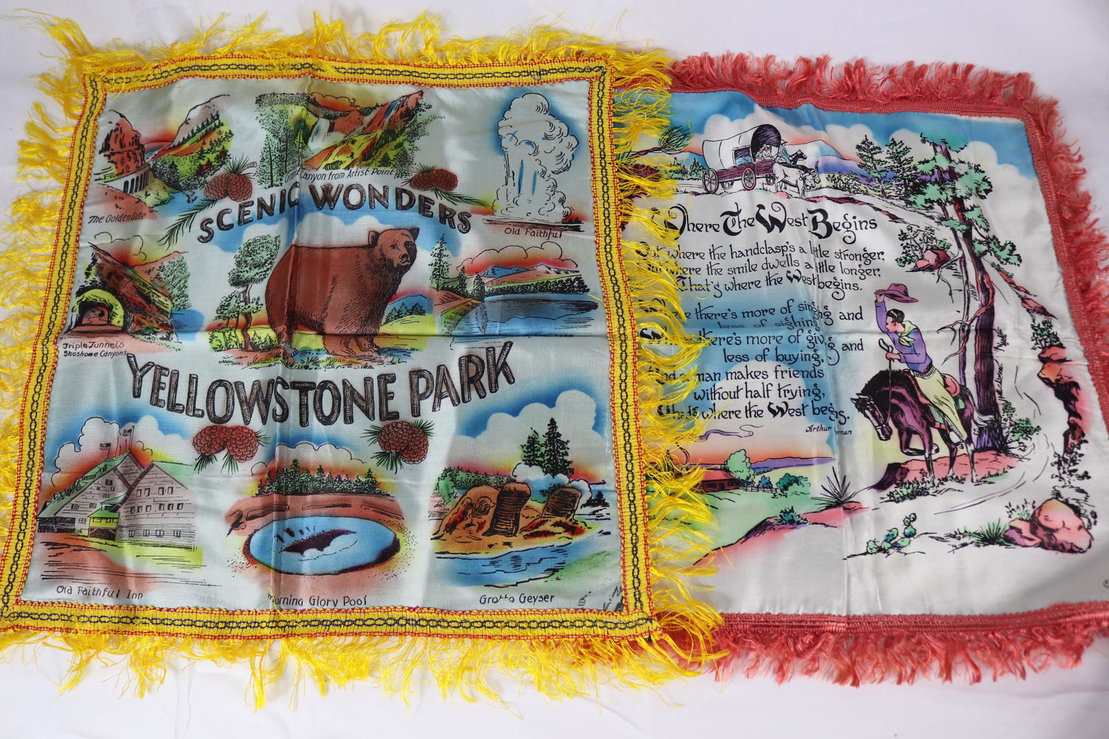 Lot of 2 Souvenir Pillow Covers (1 of 3)