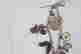 item-129096137=4