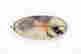 item-129096249=2