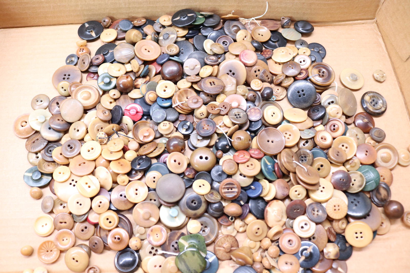 Large Lot of Vegetable Ivory Buttons: dyed, carved and shapes, see photo's