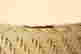 item-131191703=5