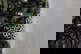 item-168360641=7