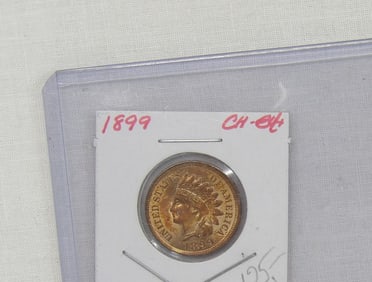 1899 Indian Head One Cent Coin