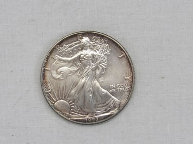1993 Walking Liberty Silver Dollar Coin