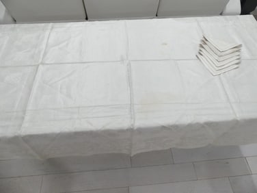 Vintage Old Store Stock Linen Damask Tablecloth & Napkin Set
