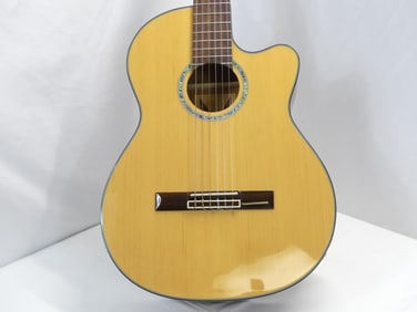 Vintage Dean Acoustic Electric Guitar Model Concert CE GN