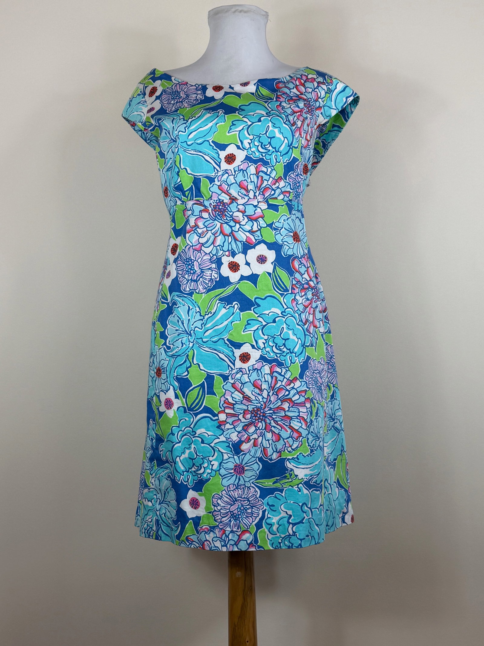 Vintage Lilly Pulitzer 1960s Style Summer Dress (1 of 7)