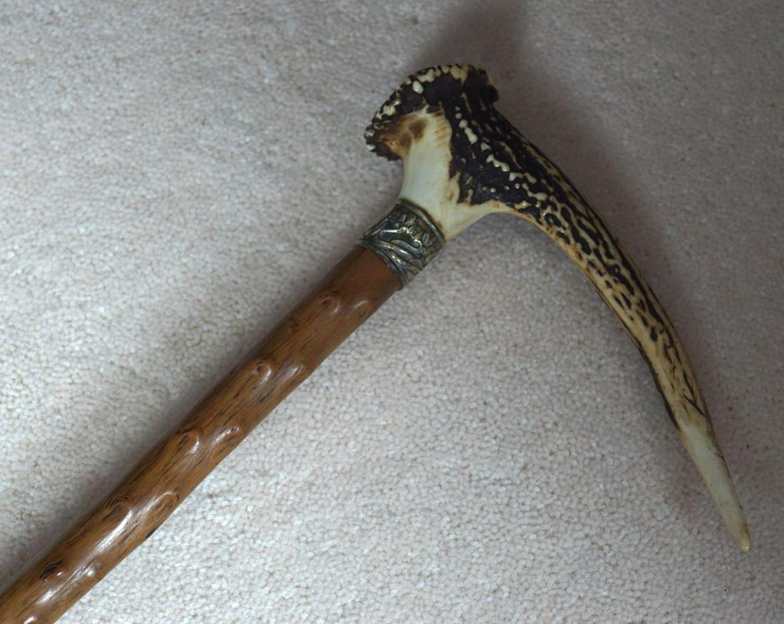 WALKING STICK: with stag horn handle Provenance: Castlehyde House, Co. Cork, Ireland 84 cm. long