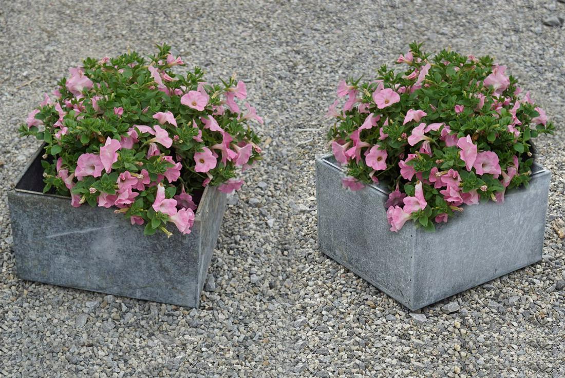 PAIR OF ZINC PLANTERS (1 of 3)