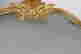 item-128881559=2