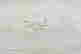 item-128883417=2