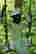 item-130930195=2