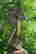 item-130930243=2