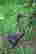 item-130930346=2