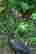 item-130930346=3