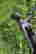 item-130930363=2