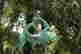 item-130930516=2